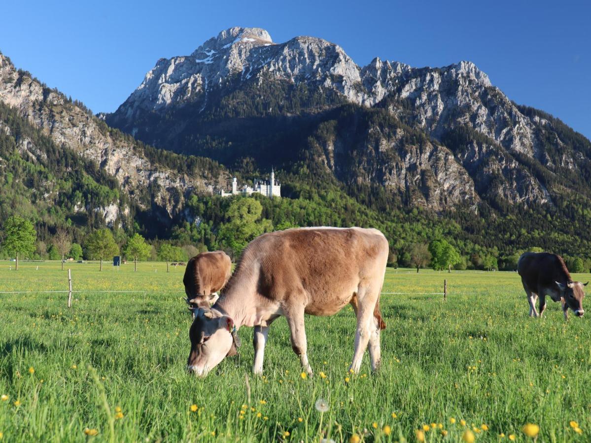 Gaestehaus Koepf Füssen Kültér fotó